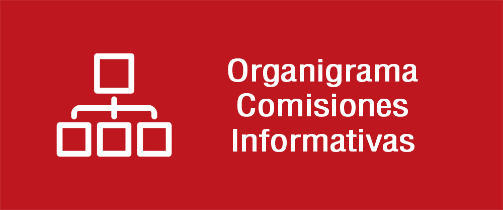 Organigrama Comisiones Informativas